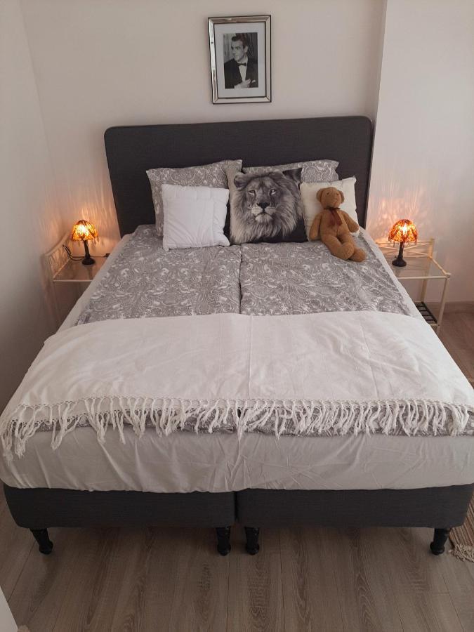 Hollywood Apartament Kosciuszki 罗兹 外观 照片
